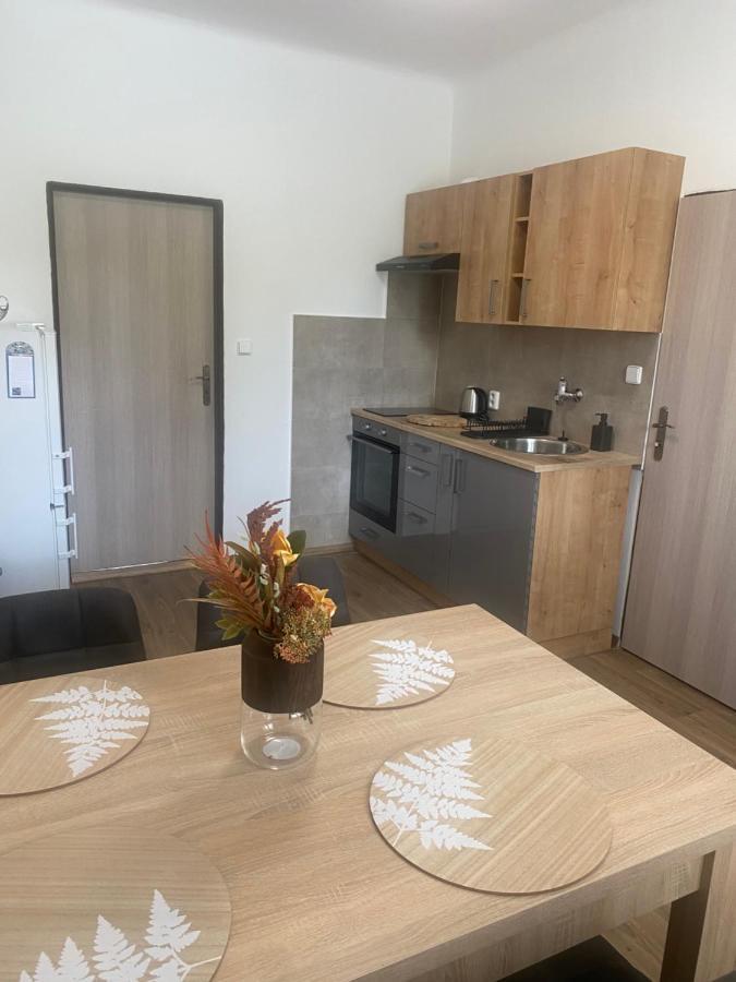 Cerna Ruze - Apartman 3 Plzen Exterior photo